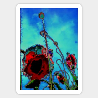 Abstract Poppy Flower Sticker